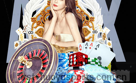 卡片2图含统计图表与数据摘要